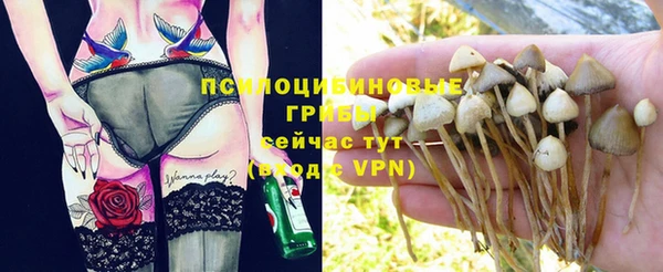 винт Балахна